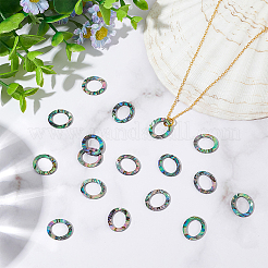 25 Stück natürliche Abalone Muschel/Paua Muschel Cabochons SHEL-WR0001-01