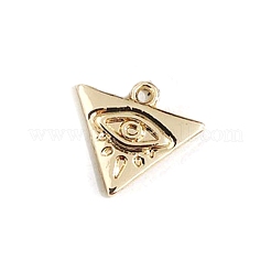 Zink Legierung Anhänger Fassungen FIND-WH0136-43