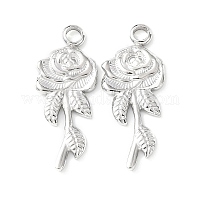 Подвески из нержавеющей стали 304&nbsp;STAS-D202-07P