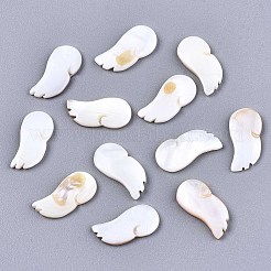 Natürliche Süßwasser Muschel Cabochons SHEL-R113-13