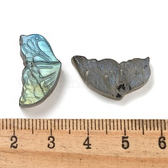 Natürlicher Labradorit geschnitzte Cabochons G-C152-03A