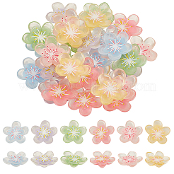 60 Stück 6 Farben durchscheinende Decoden-Cabochons aus Harz RESI-GA0001-31