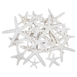 30 Stück 6 Stile opake Harz Meerestier Decoden Cabochons RESI-NB0002-07