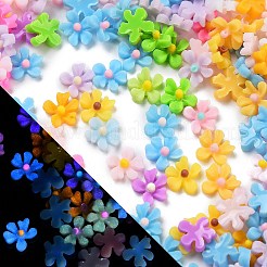 Leuchtende Decoden-Cabochons aus Harz RESI-K036-32