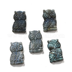 Natur Labradorit Cabochons G-G985-02
