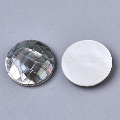 Natürliche schwarze Lippe Shell Cabochons SSHEL-N034-46