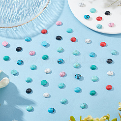 48 Stück 8 Farben gefärbte synthetische türkisfarbene Cabochons G-PH0036-03