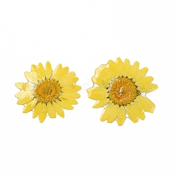 Blüten-Cabochons aus undurchsichtigem Harz RESI-L036-07A