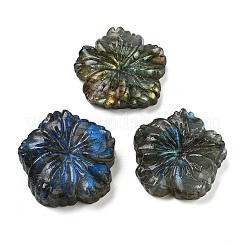Natürlicher Labradorit geschnitzte Cabochons G-C152-06
