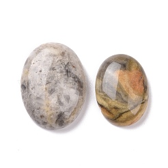 Natürliche verrückt Achat Cabochon G-P468-16B-02