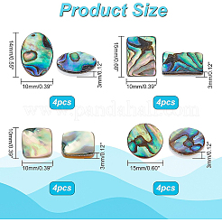 16 Stück 4 Stil natürliche Muschel-Cabochons SSHEL-BC0001-23