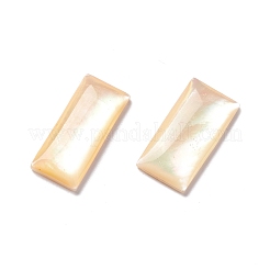 Gelbe Schale Cabochons SSHEL-C008-10