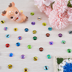 1 Beutel Glas-Puppenaugen-Cabochons DIY-GF0008-70C