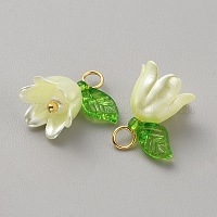 Акриловые подвески&nbsp;KY-TAC0009-03A