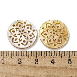 Natürlicher gelber Schal cabochons SSHEL-N038-02A