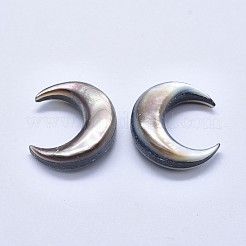 Natürliche schwarze Lippe Shell Cabochons SSHEL-P015-80B-20mm