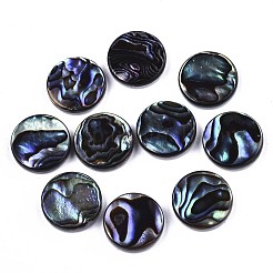 Natürliche Abalone Muschel / Paua Muschel Cabochons SSHEL-N034-72A-01