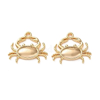 Подвески из морской латуни&nbsp;KK-L266-02C-G