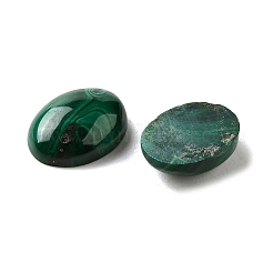 Natur Malachit Cabochons G-E557-03P