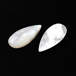 Natürliche weiße Muschel cabochons SSHEL-M022-04