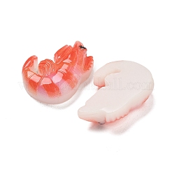 Harz Cabochons RESI-R456-04A
