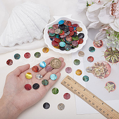 150 шт. 10-х цветные подвески из натуральных ракушек&nbsp;SHEL-PA0001-03