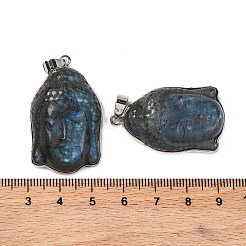 Резные подвески из натурального лабрадорита&nbsp;G-B085-13P