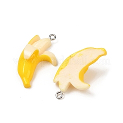 Подвески из непрозрачной смолы&nbsp;RESI-F061-03