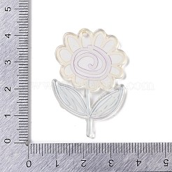 Акриловые подвески OACR-R271-07A