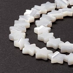 Бусины из натуральных трохоидных/трохус ракушек SSHEL-O001-25B-02