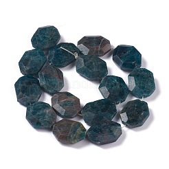 Граненые бусы из натурального апатита G-H242-01B