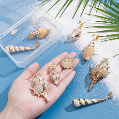4 пара сережек-подвесок из натуральной ракушки EJEW-UN00019