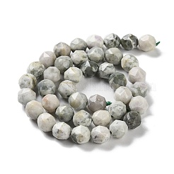 Естественный мир нефрит бисер пряди G-NH0021-A08-02