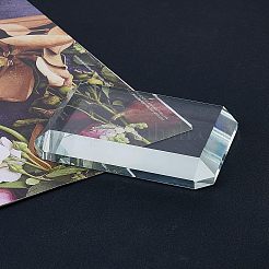 Стеклянное пресс-папье AJEW-WH0258-046