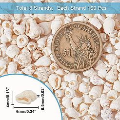 3 нити бусин из натуральной ракушки-трубы SSHEL-HY0001-01