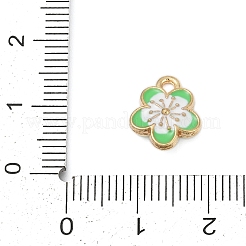 Подвески из эмали и сплава&nbsp;FIND-Z070-05G-05