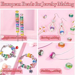 100шт 10 цвета непрозрачной смолы европейские бусины RPDL-CJ0001-07