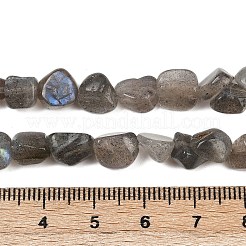 Природные лабрадорита бисер нитей G-Q060-E20-01
