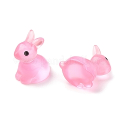 10шт 5 цвета светящаяся смола украшение дисплея DJEW-YW0001-02