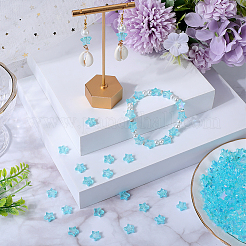 300шт экологически чистые прозрачные акриловые бусины&nbsp;OACR-SC0001-26