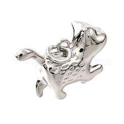 Латунные подвески&nbsp;KK-D356-12P