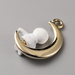 Подвески из эмали и сплава&nbsp;FIND-WH0045-76