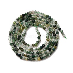 Природные моховой агат бисер нитей&nbsp;G-A129-2mm-01A