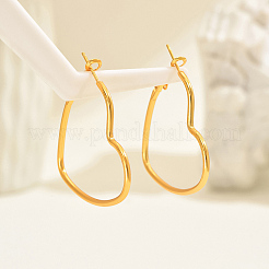 Серьги железным обручем DA3628