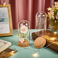 Стеклянные крышки купола cloche AJEW-BC0008-81