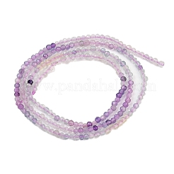 Природного флюорита бисер нитей G-F789-01-2mm