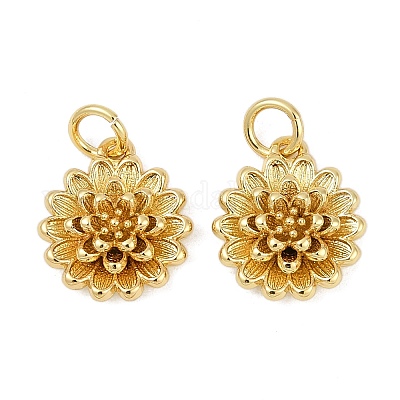 Латунь подвески KK-S527-12G-1