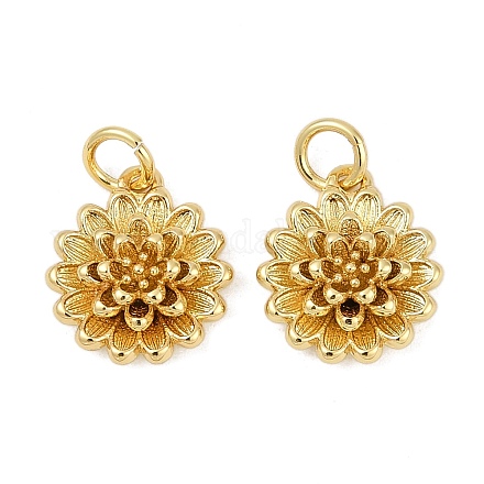 Латунь подвески KK-S527-12G-1