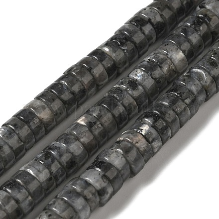 Натуральные нити бус из ларвикита G-P489-03-1