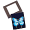 Alloy Bookmarks, Butterfly Book Clip, Deep Sky Blue, 80x80.5x20mm